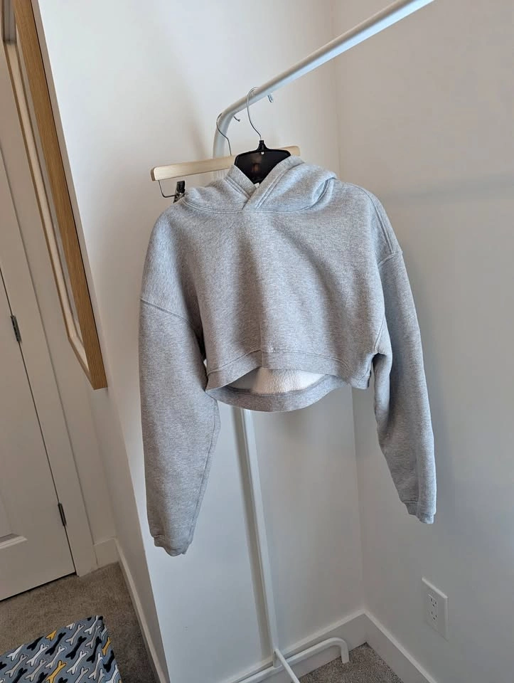 Aritzia Grey Cropped Sweater