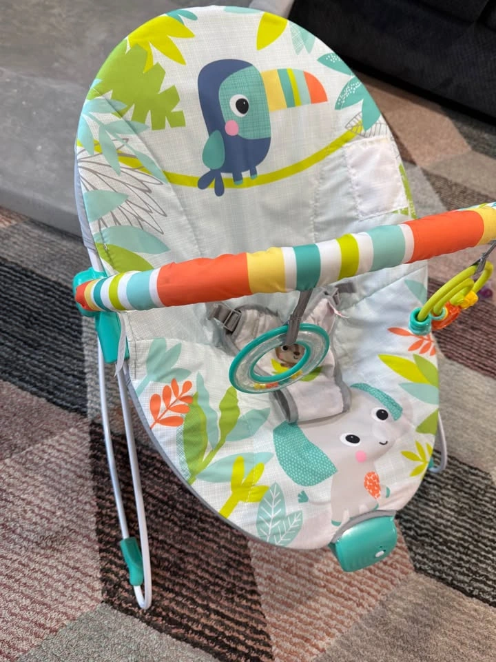 Fisher-Price Baby Seat - photo 2