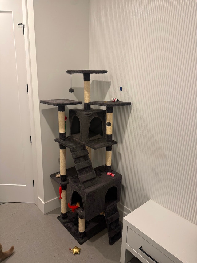 Cat Tree, Pick up only.