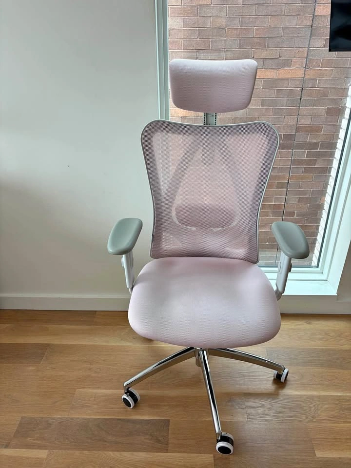 Ergonomic Office Chair (Pink) – Adjustable Headrest & Lumbar