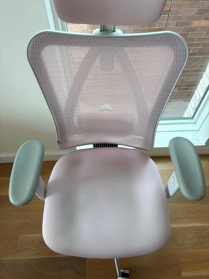 Ergonomic Office Chair (Pink) – Adjustable Headrest & Lumbar - photo 2