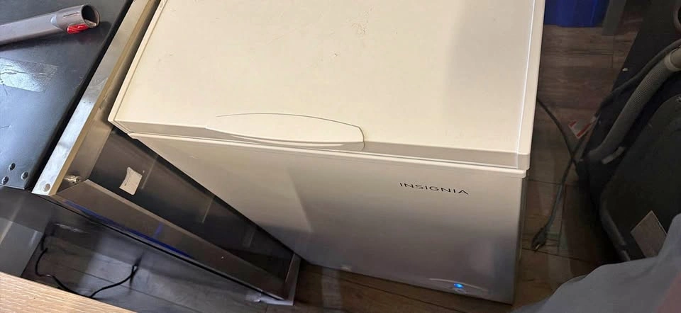 Insignia 3.5 Cu. Ft. Chest Freezer - Garage Ready