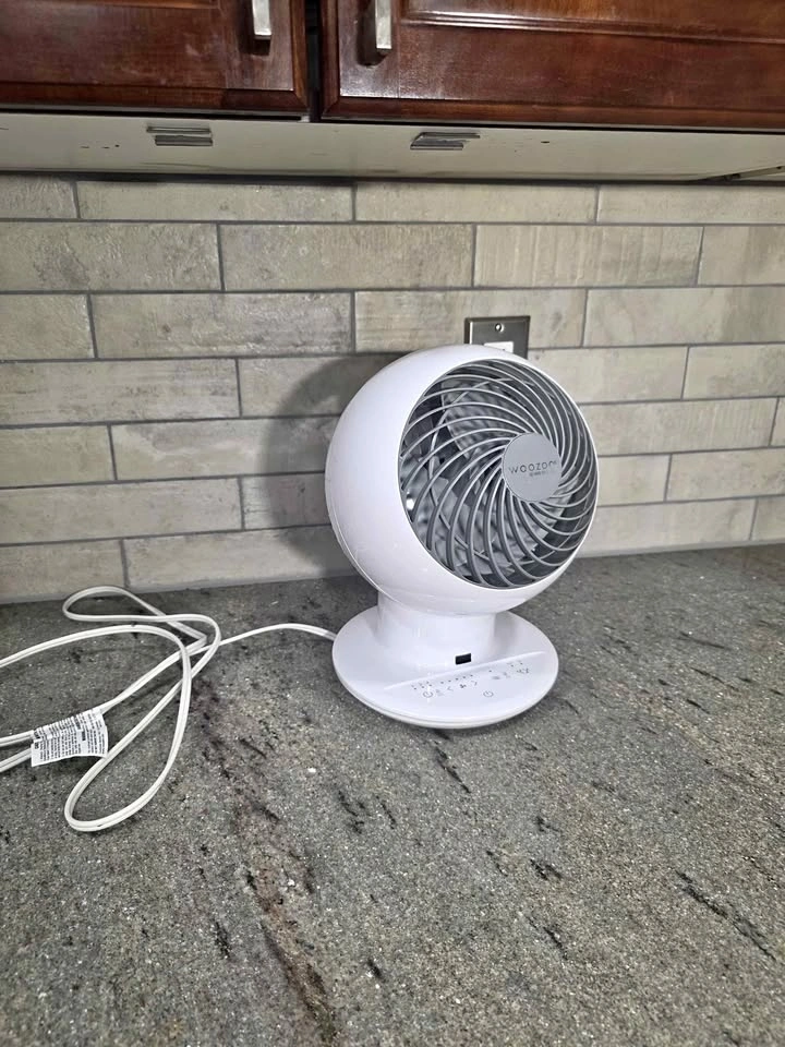 Woozoo Globe Fan For Sale