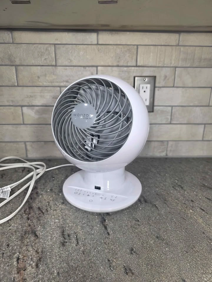 Woozoo Globe Fan For Sale - photo 2
