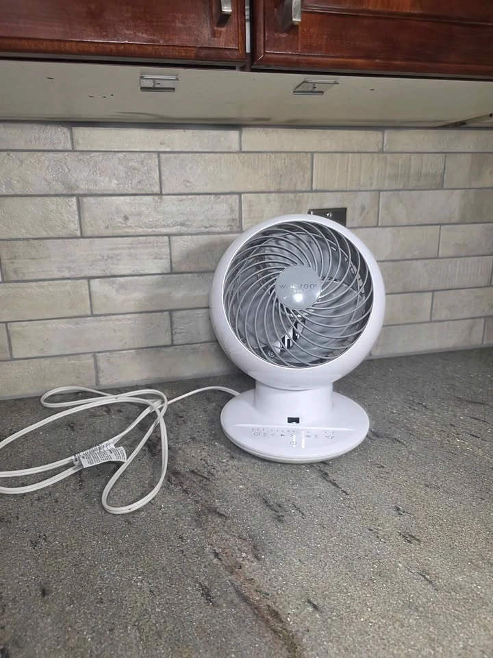 Woozoo Globe Fan For Sale - photo 3
