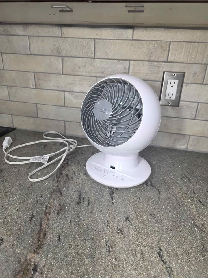 Woozoo Globe Fan For Sale - photo 4