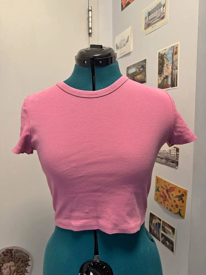 Zara pink crop top
