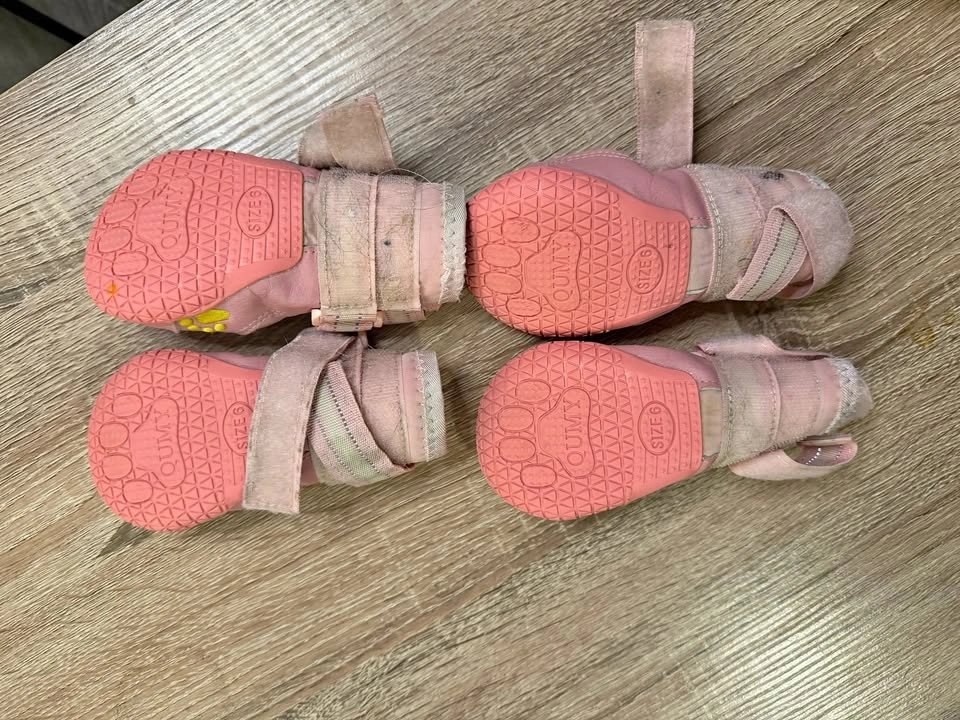 Pink Dog Boots - QUMY Size 6