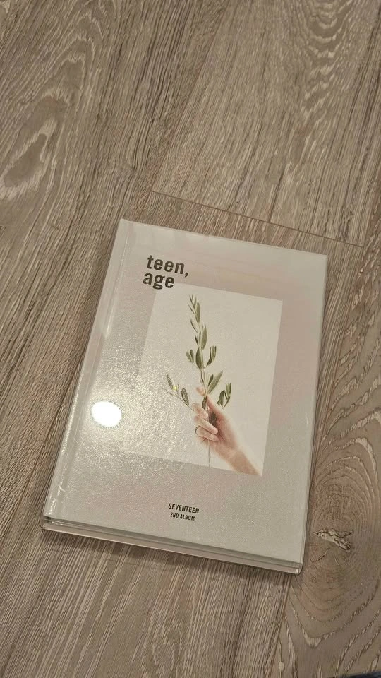 KPOP ALBUMS - SEVENTEEN AND TXT - photo 5