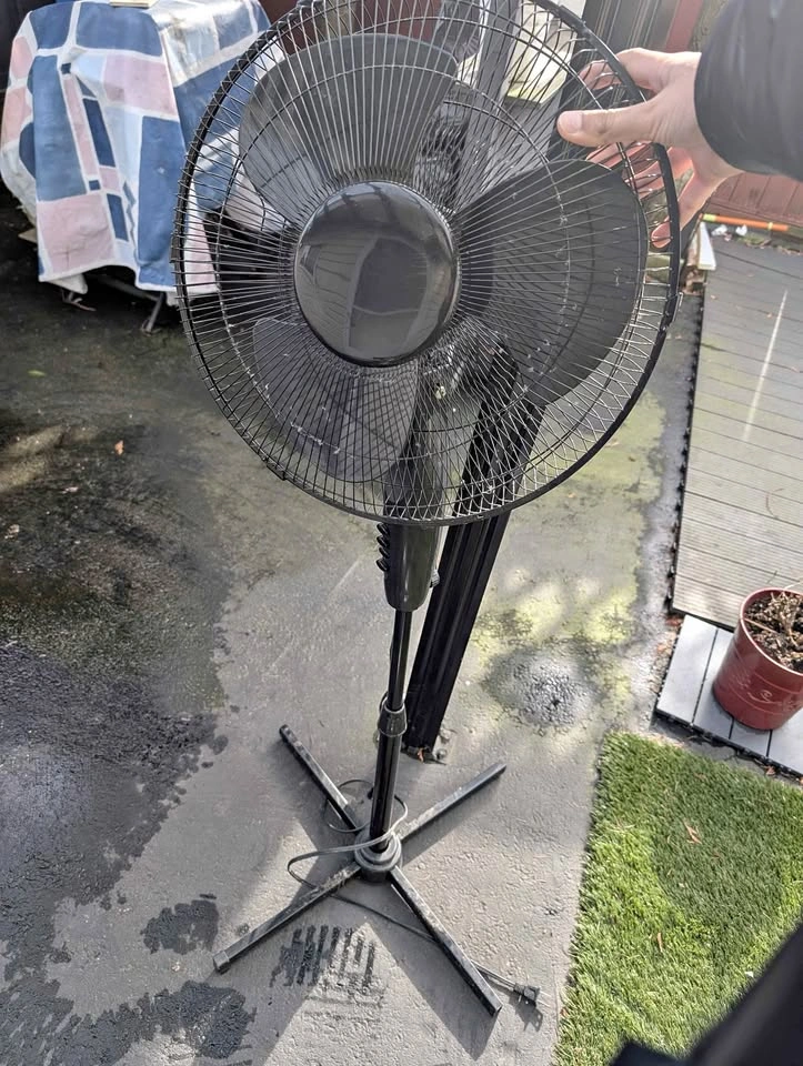 Fan