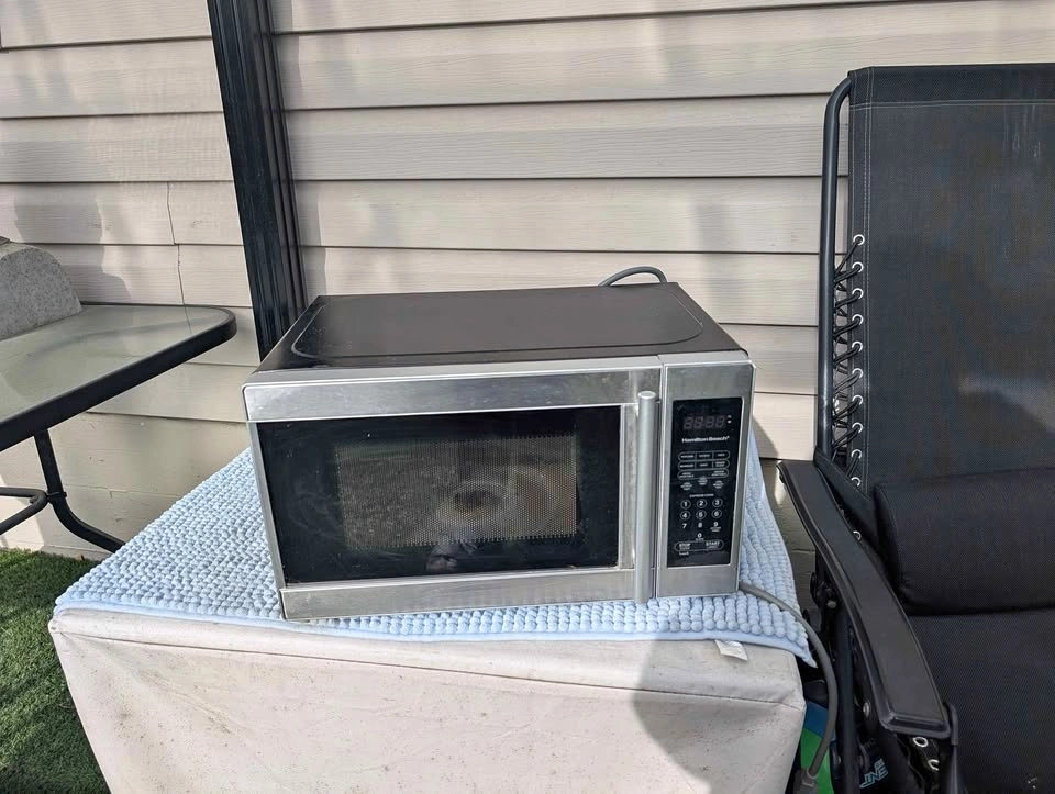 Microwave