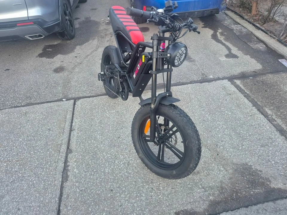 Windone E2 Ebike - photo 3