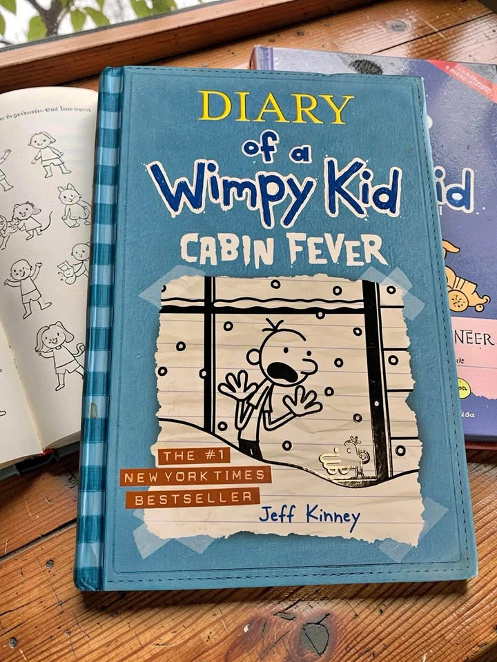 Disney "Dork Diaries" Book Series & More