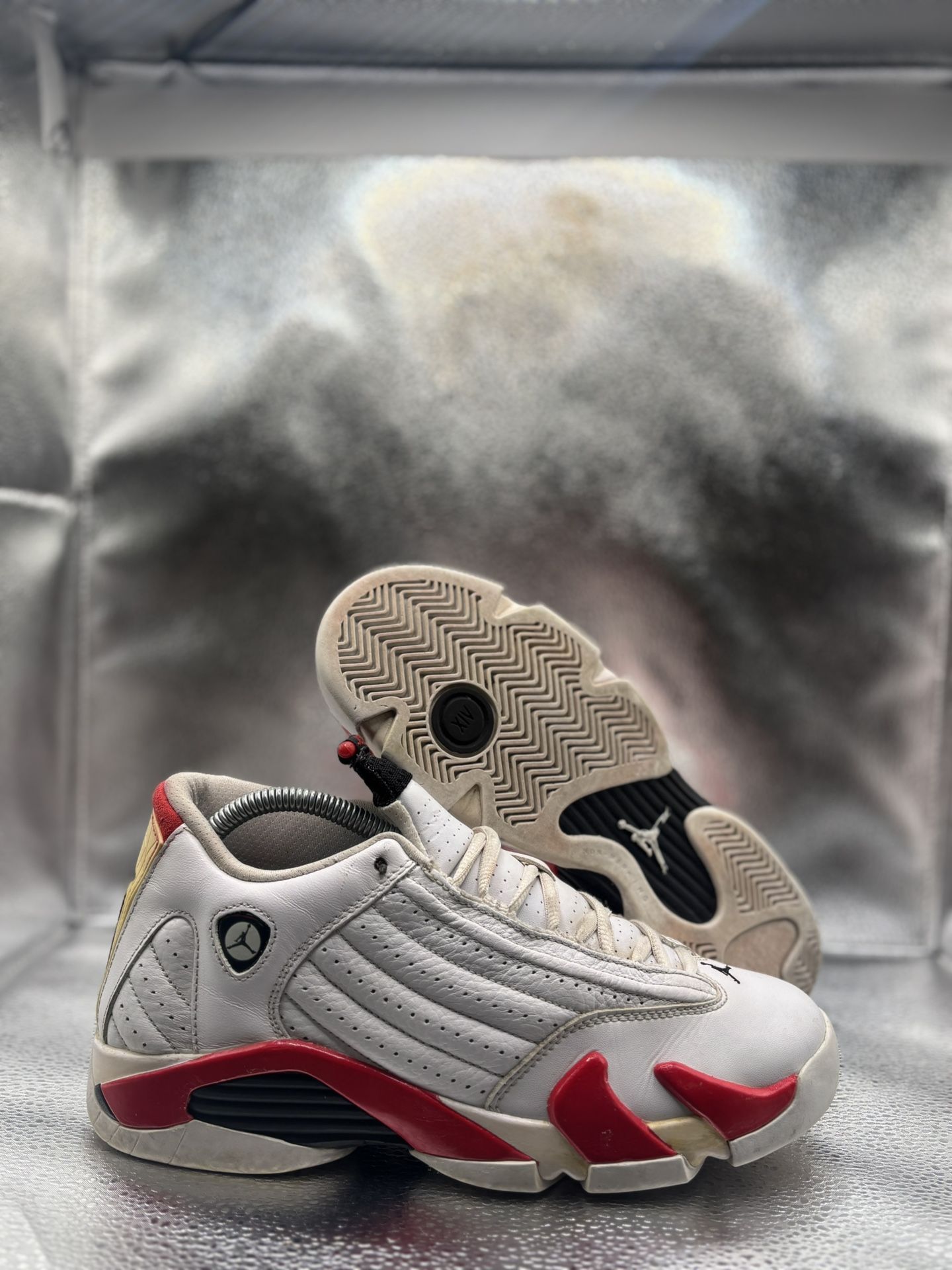 Air Jordan 14 Rip Hamilton GS