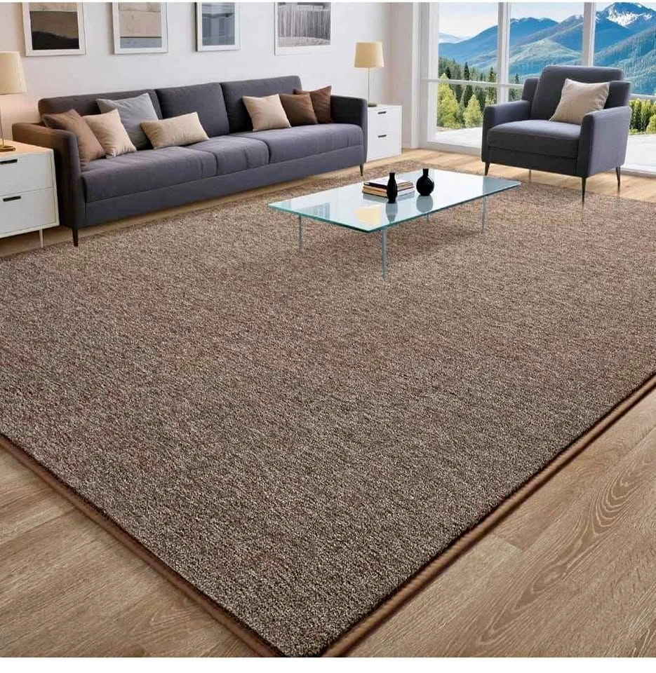 Soft Area Rug for Living Room Bedroom, 5x7