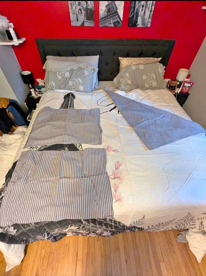 Eiffel Tower Queen Duvet