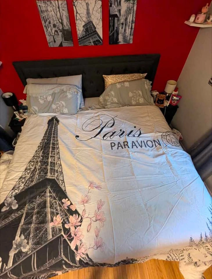 Eiffel Tower Queen Duvet - photo 2