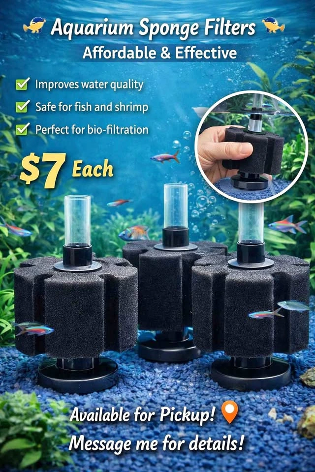 Aquarium Sponge Filters
