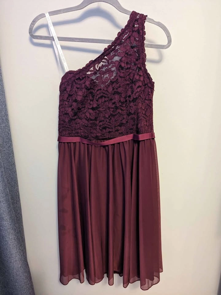 Women's David's Bridal Dress