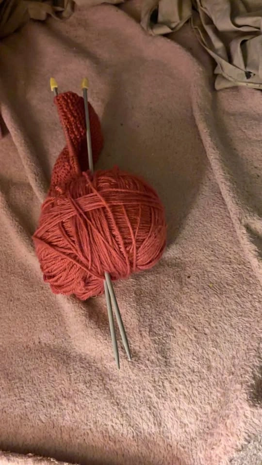 Plague Doctor Mask & Knitting Yarn w/ Needles