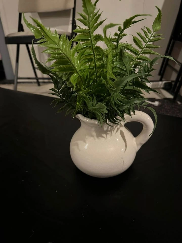 Fake Plant in Ceramic Jug Vase