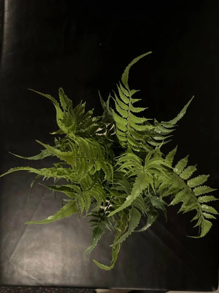 Fake Plant in Ceramic Jug Vase - photo 4