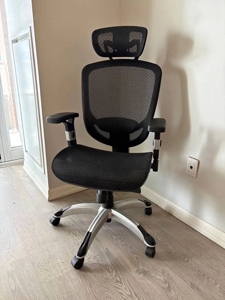 Black Mesh Ergonomic Office Chair with Headrest