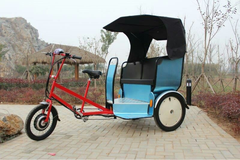 Pedicab Rain Cover - photo 4