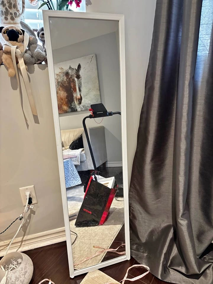 Hometrends Mirror - 14" W x 50" H