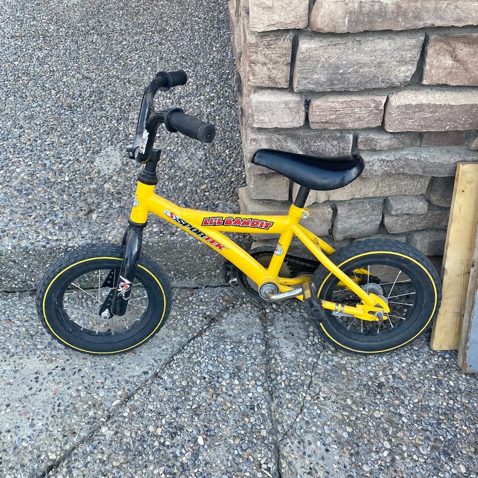Toddler Bike 4-6 yrs old
