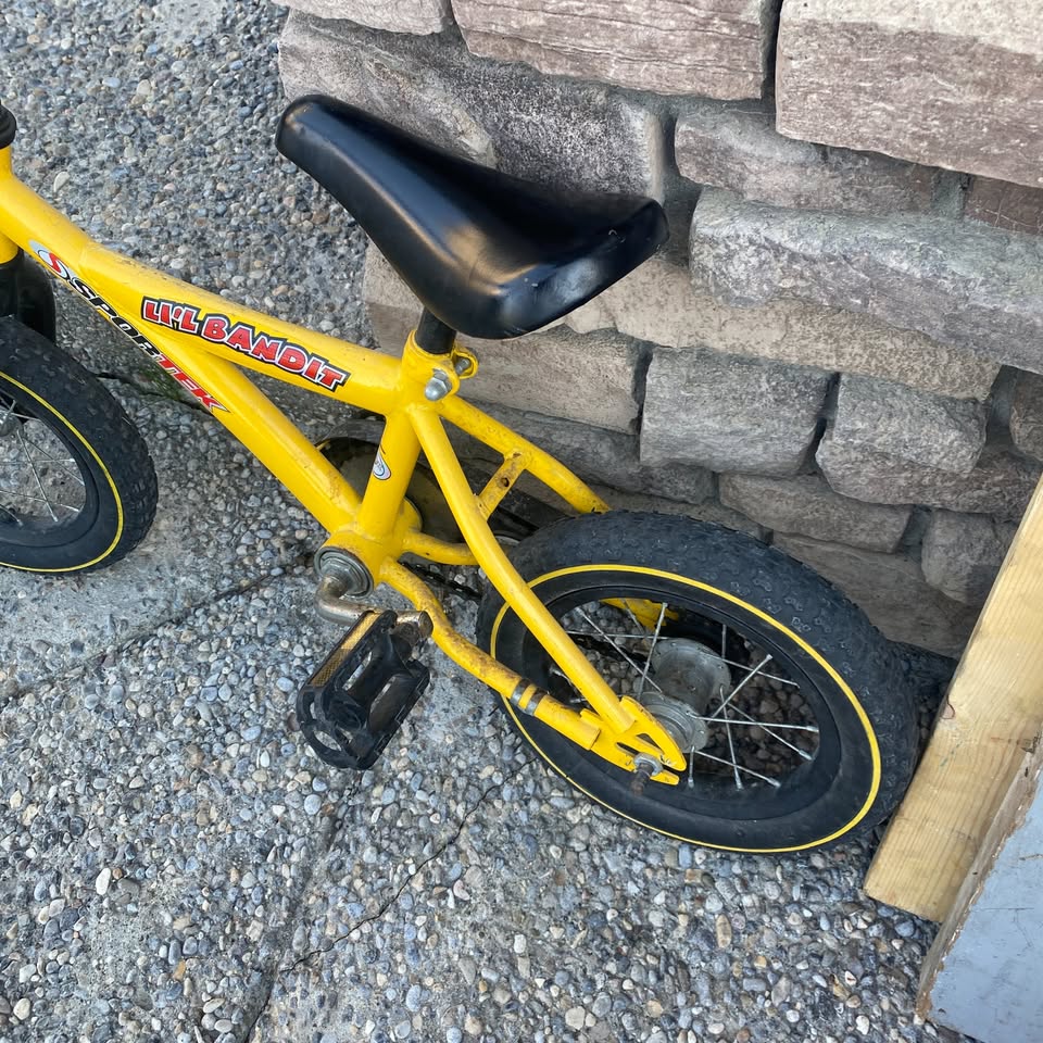 Toddler Bike 4-6 yrs old - photo 2