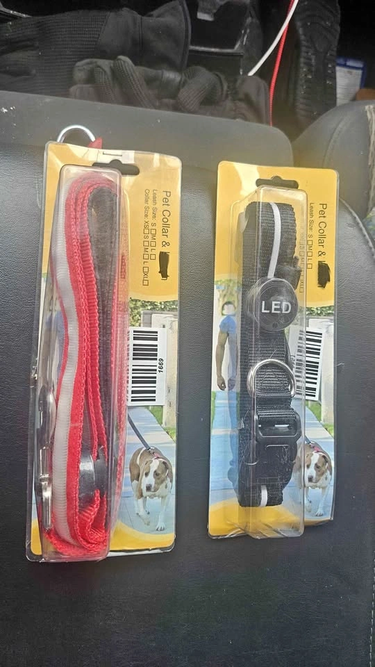 LED Dog Collar and Leash