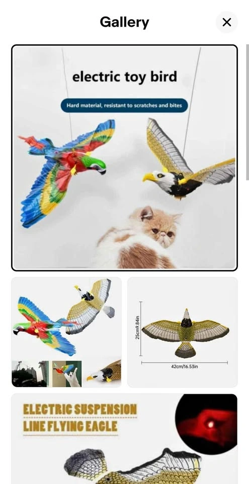 Electric bird / cat toy