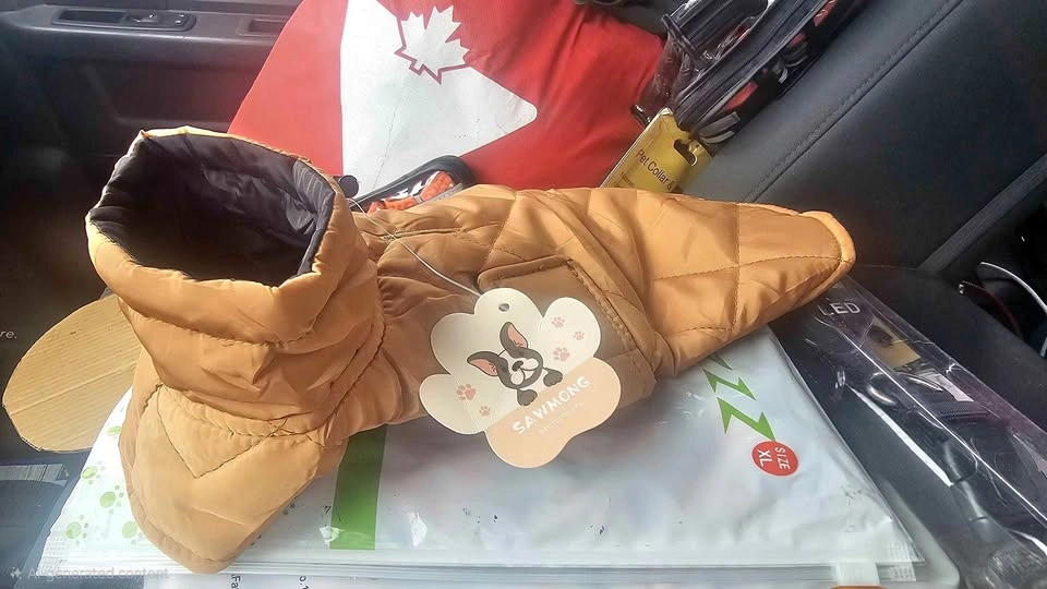 Puppy vest