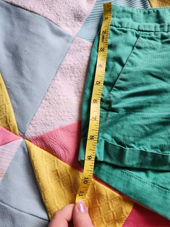 teal American Eagle shorts image indicator(7)