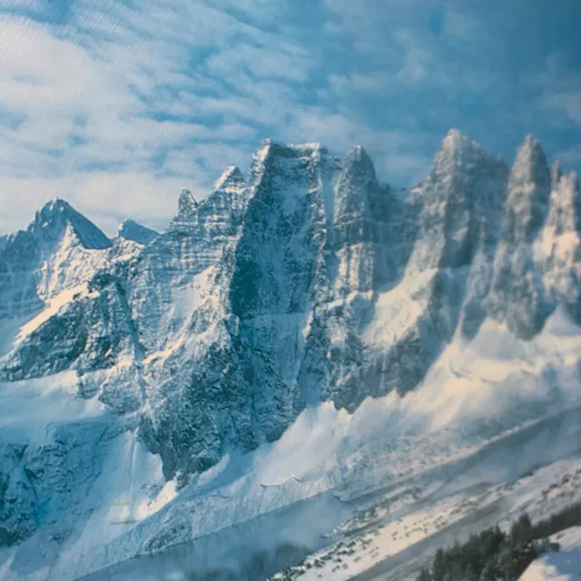 The Majestic The Canadian Rockies Framed Print 19x25 image indicator(4)