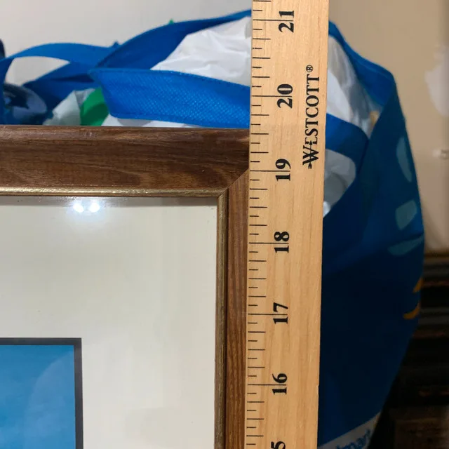 The Majestic The Canadian Rockies Framed Print 19x25 image indicator(8)