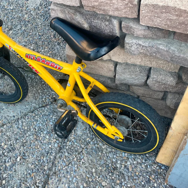 Toddler Bike 4-6 yrs old image indicator(2)