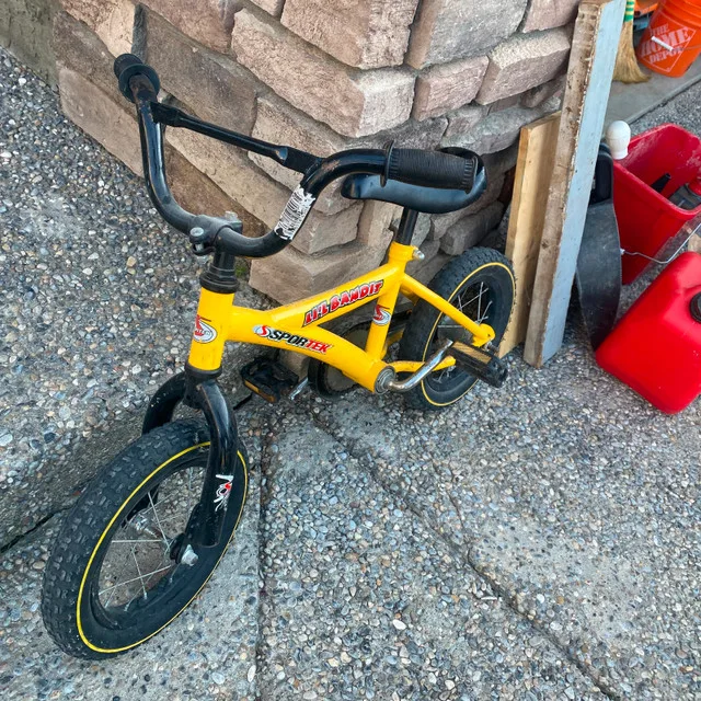 Toddler Bike 4-6 yrs old image indicator(4)