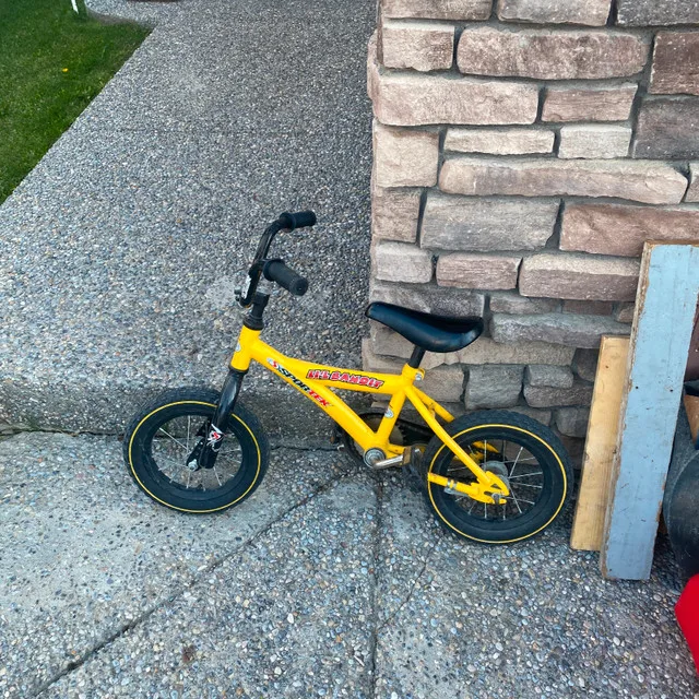 Toddler Bike 4-6 yrs old image indicator(5)