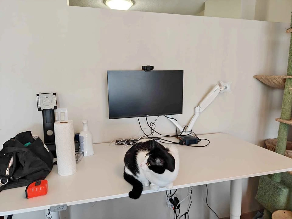 IKEA Electric Height Adjustable Desk