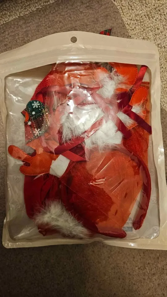 Christmas Costume Outfit image indicator(2)