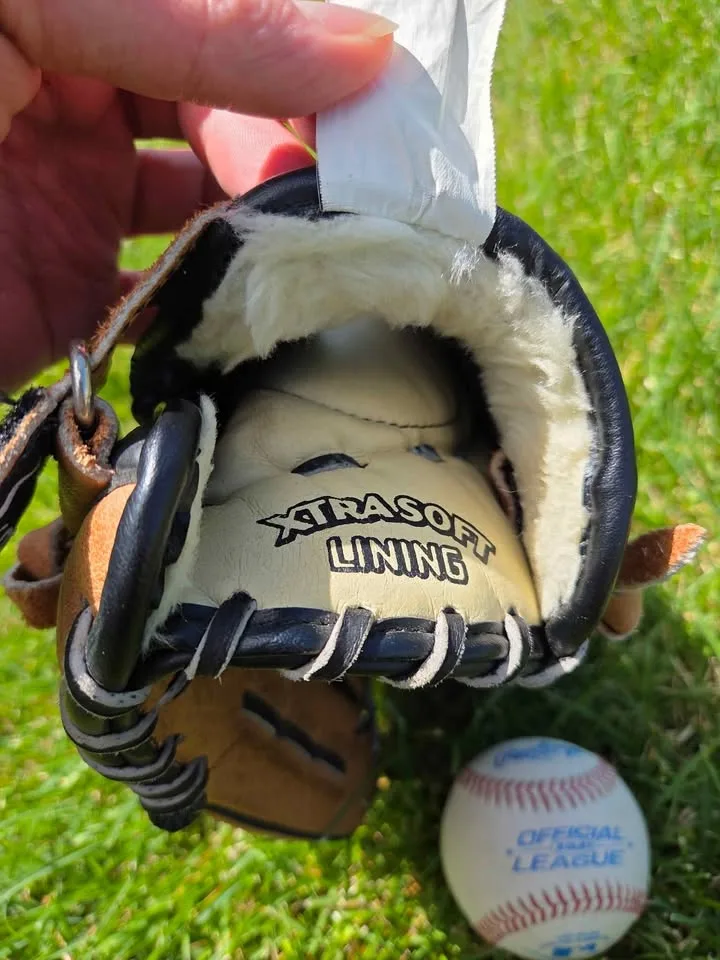 Louisville Slugger Genesis 1884 baseball gloves and baseball image indicator(5)