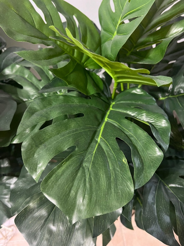 Beautiful Monstera Deliciosa Artificial Plants