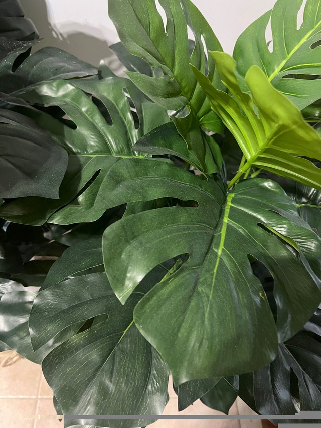 Beautiful Monstera Deliciosa Artificial Plants - photo 2