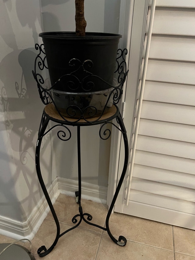 Metal Sturdy Plant Stand - $10