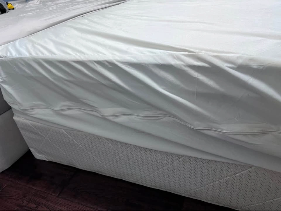Twin Mattress + Box Spring – Like New | Pick Up Only - photo 3