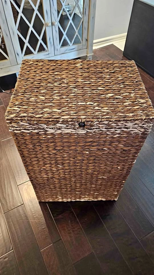 Laundry Hamper with Lid from Pier 1
