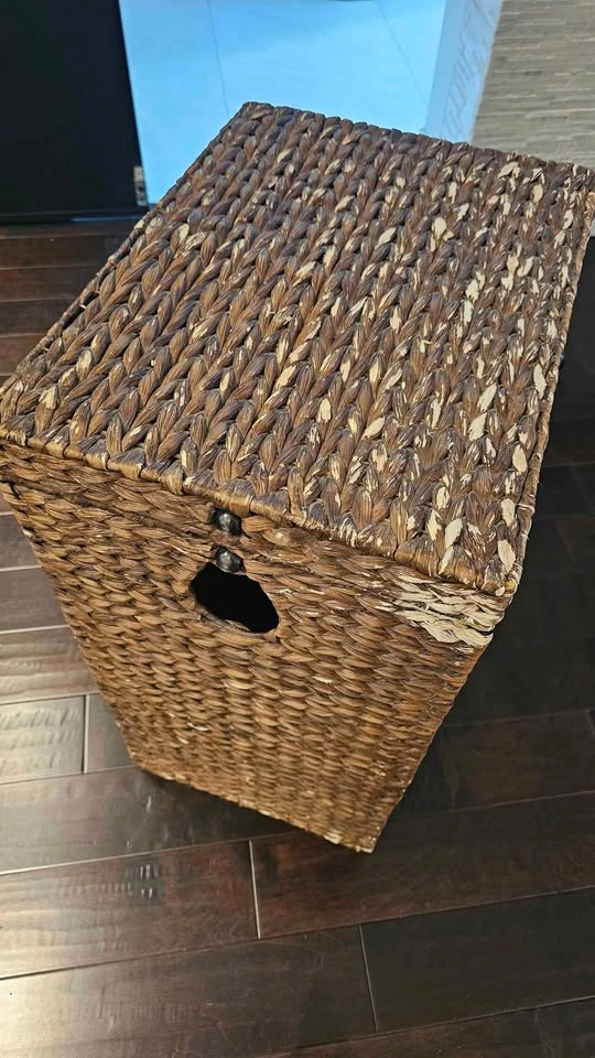 Laundry Hamper with Lid from Pier 1 - photo 2
