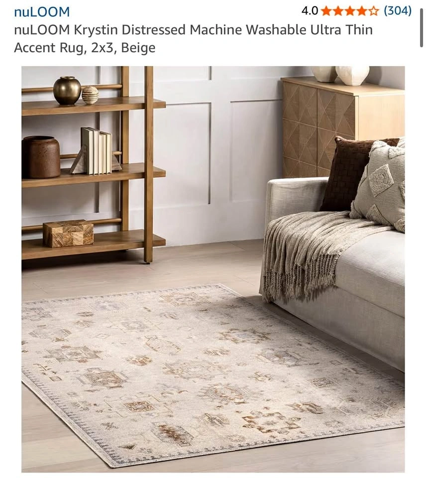 NEW NuLoom Krystin Distressed 2x3 Beige Accent Rug